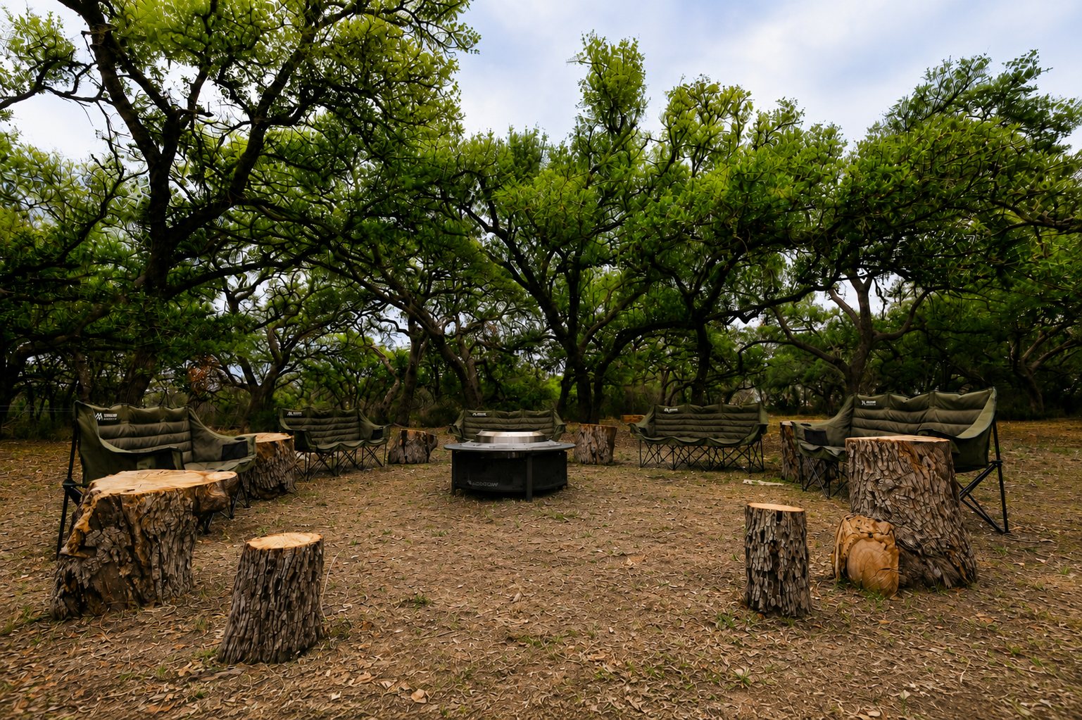 The council fire circle under the oaks